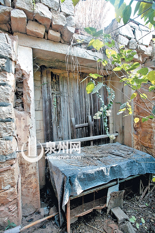 土樓因缺少人氣和保護(hù)，大都雜草叢生。