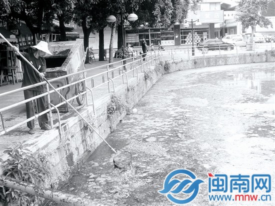 2009年，百源清池池水黑臭