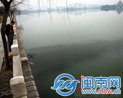 2011年，西湖遭油污污染