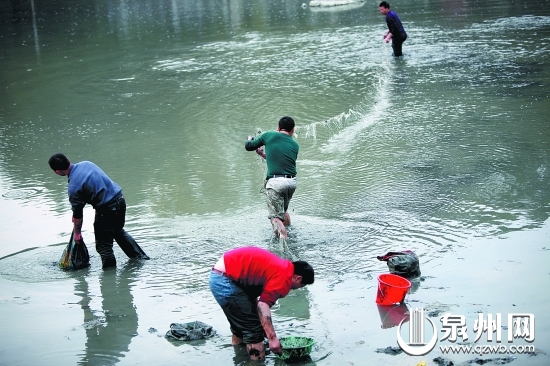 “絕戶網(wǎng)”捕魚,破壞漁業(yè)生態(tài)