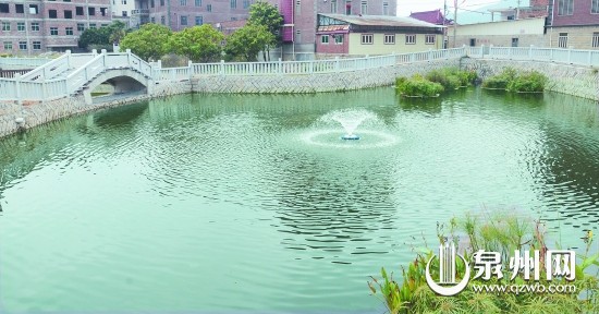 馬甲鎮(zhèn)新民村的氧化塘。