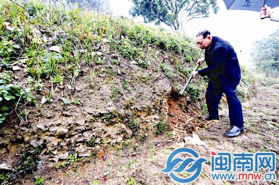 在田埂上，隨便一挖可見瓷片堆積