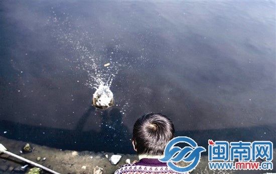 阿寶的樂園,是家門口那灣水塘