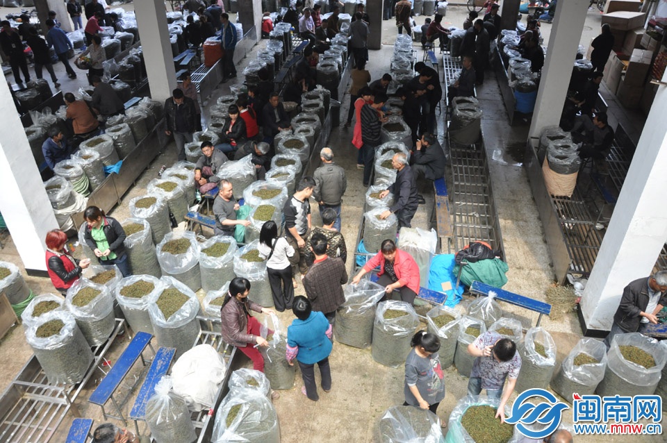 已接近中午時分，交易大廳仍有許多茶農等待交易 副本