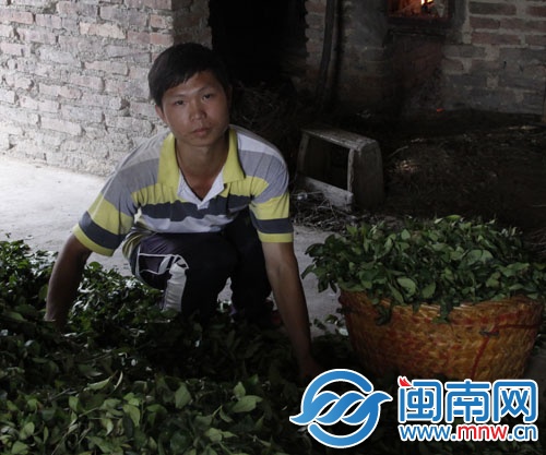 秋華幫著打點家中茶事