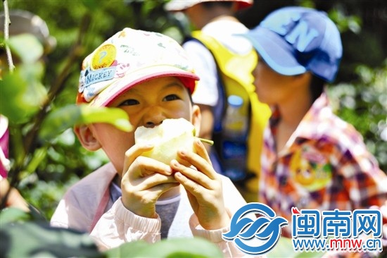 剛摘下來(lái)的梨子，忍不住先咬一口